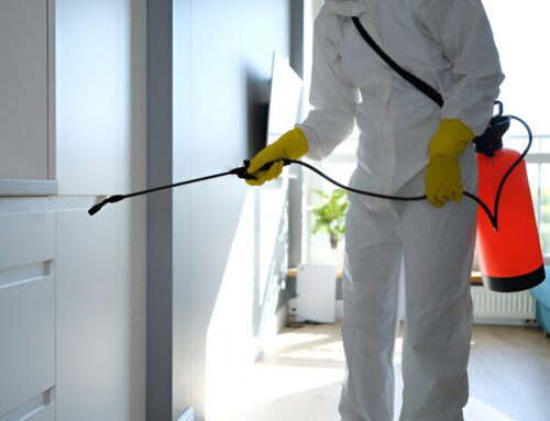 Desinfección de Superficies en el Hogar: Guía Práctica para una Limpieza Efectiva